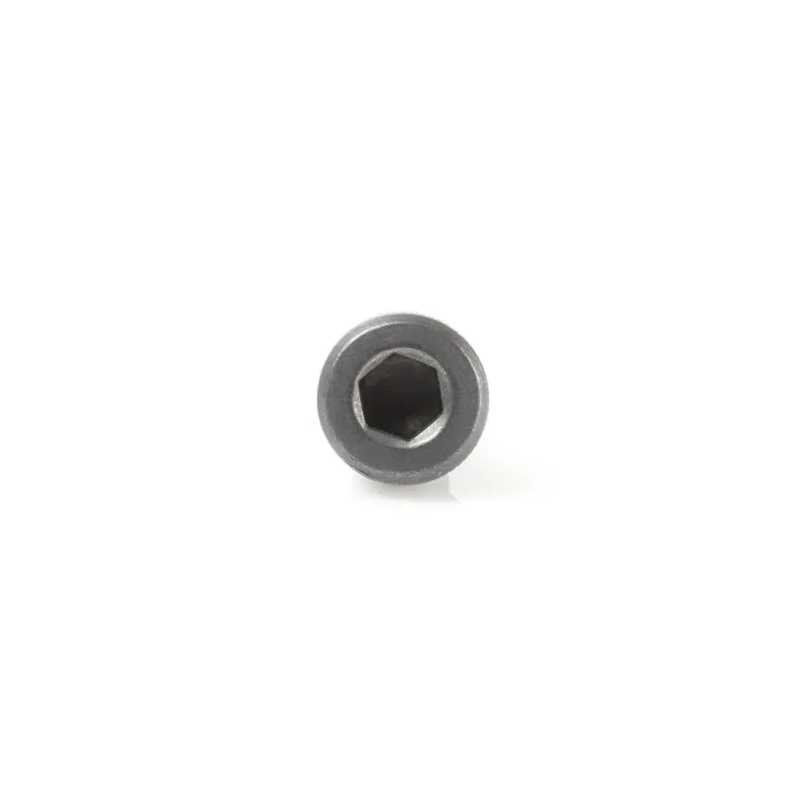 Torx Screws | 4mm x 6mm | 67127 | 738685000274